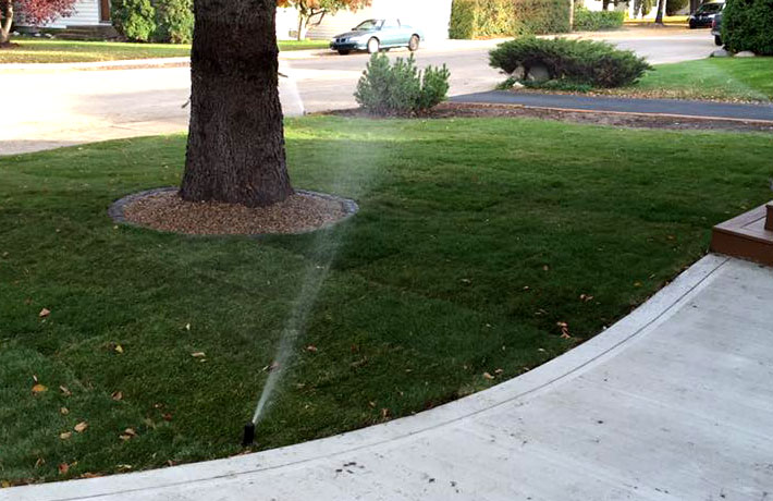 sprinkler systems installation