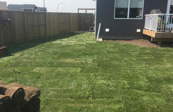 landscaper in Saskatoon sk