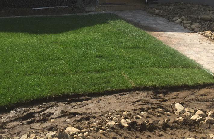 turf installation Saskatoon sk